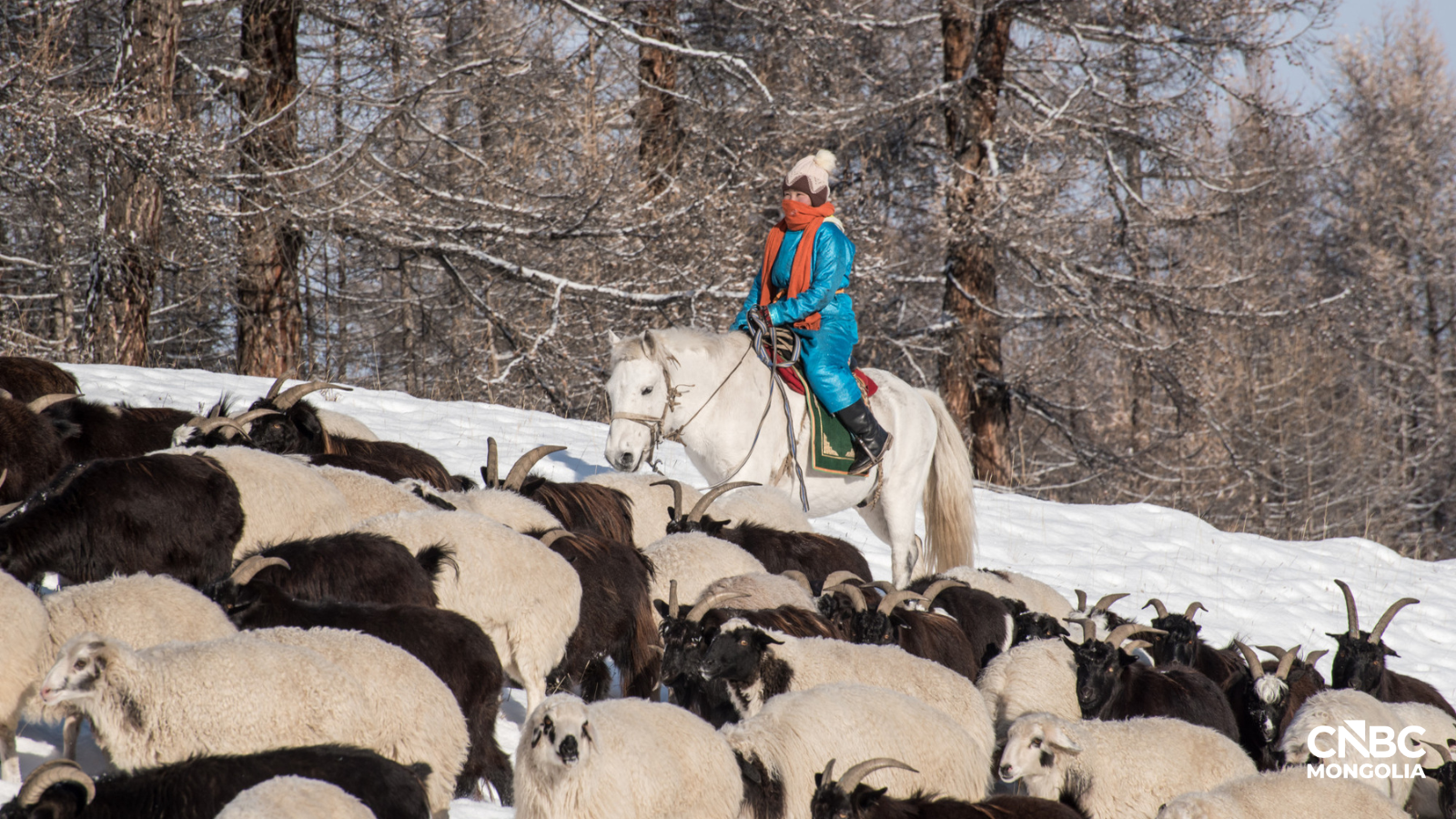 journalist-news-h2q1d2