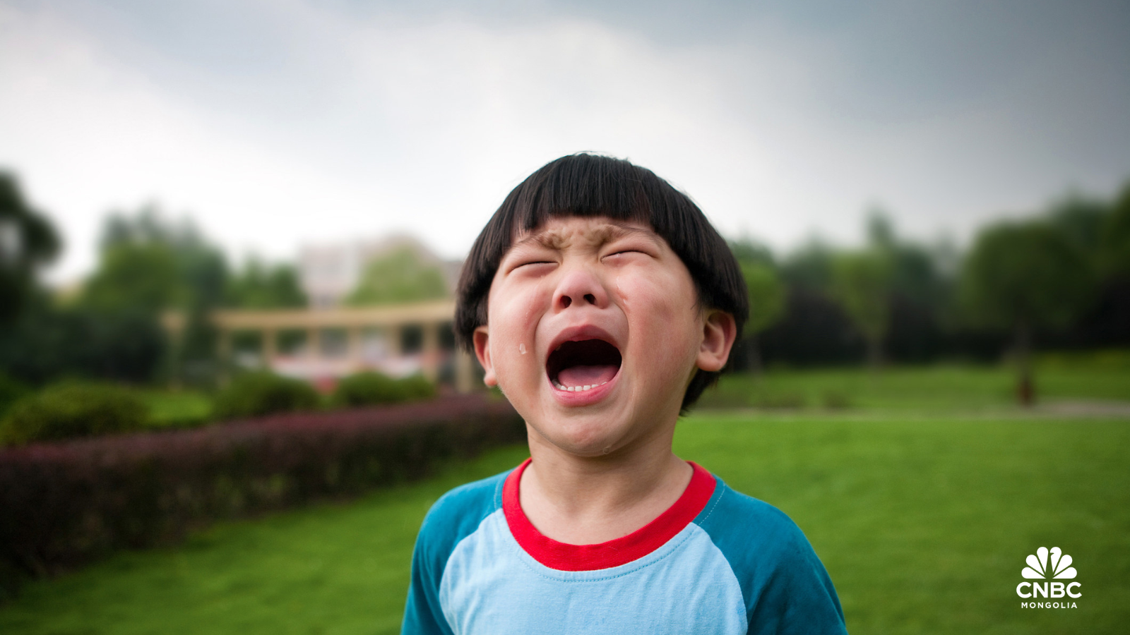 journalist-news-h2mh9